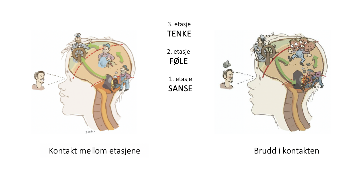 3-delte-hjerte